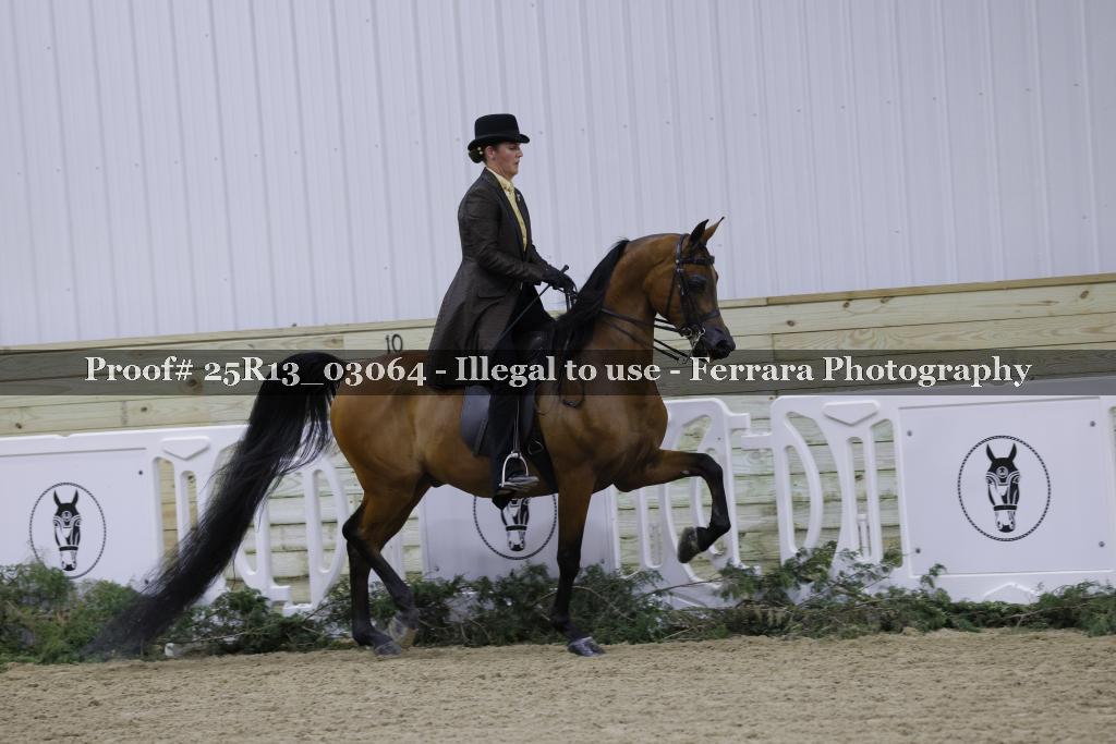Proof 25R13_03064
