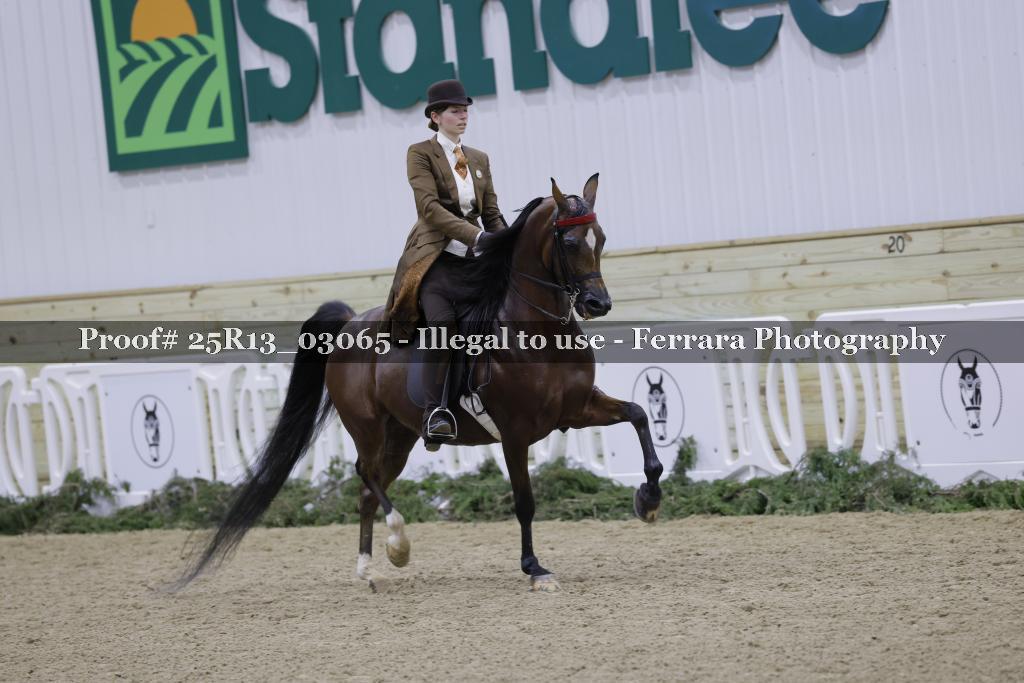 Proof 25R13_03065
