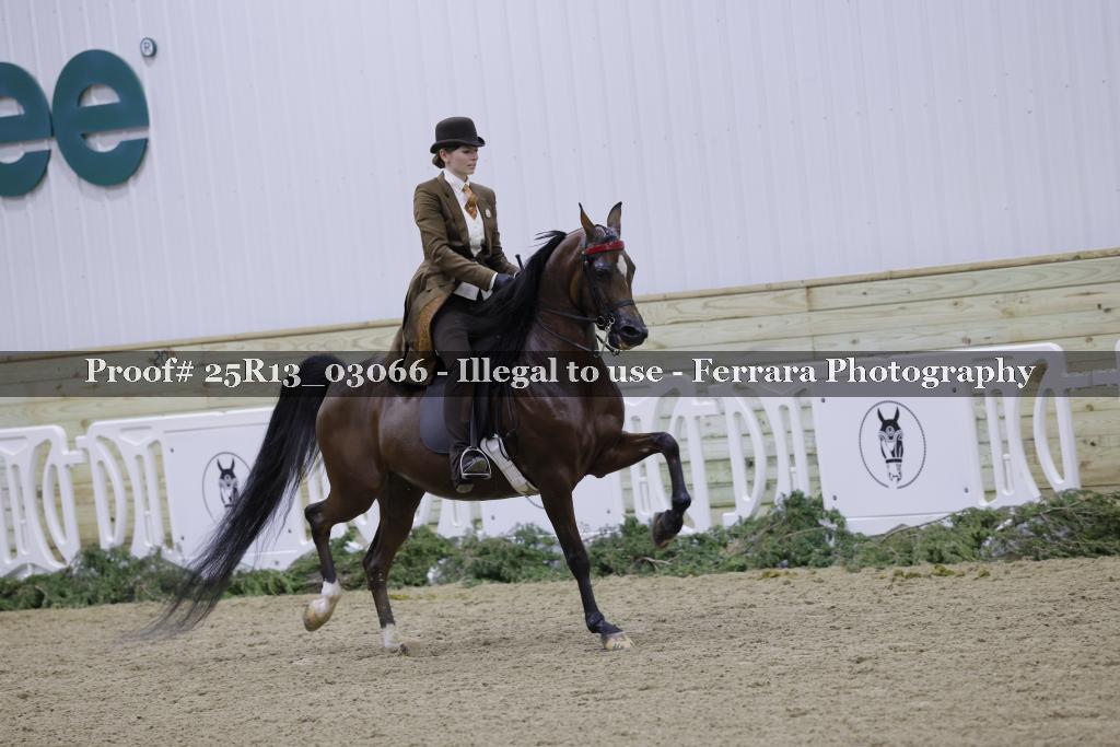 Proof 25R13_03066