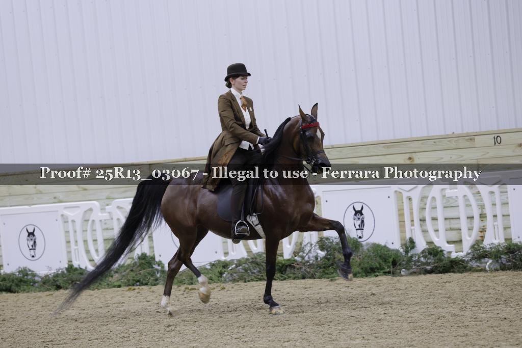 Proof 25R13_03067