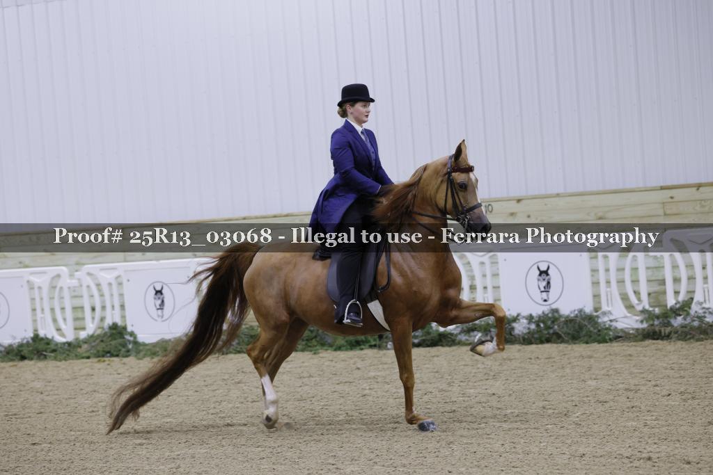 Proof 25R13_03068