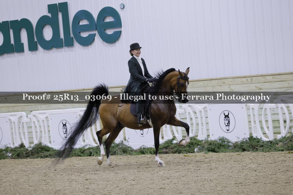 Proof 25R13_03069