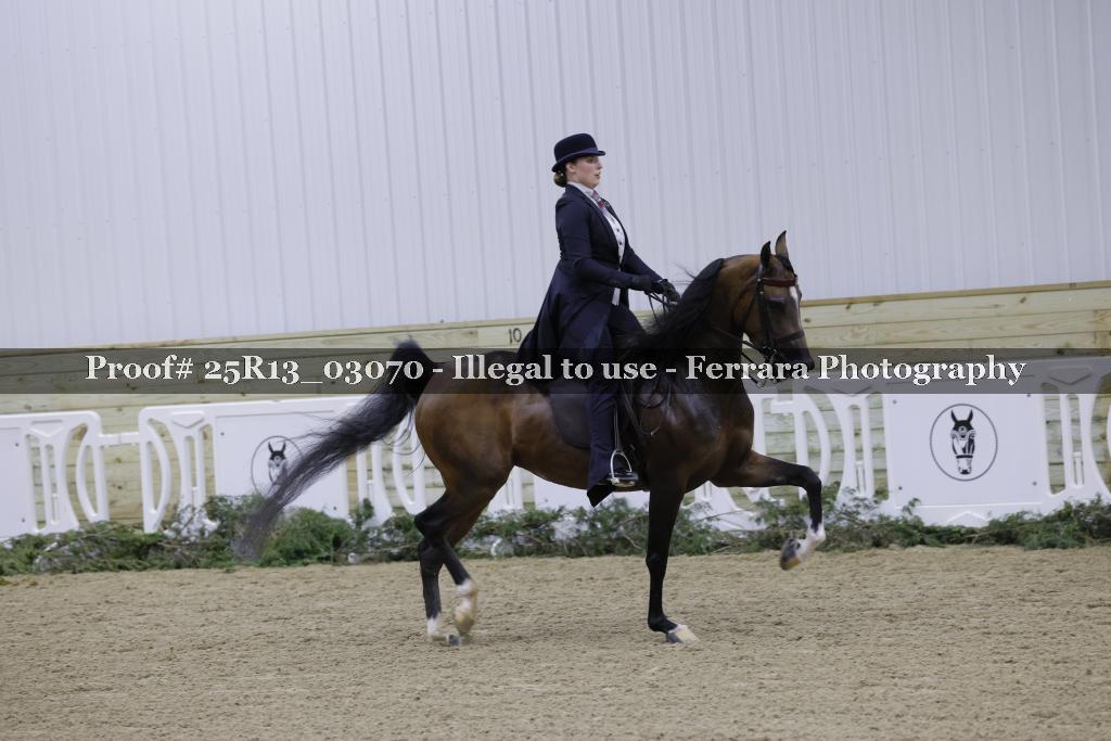 Proof 25R13_03070