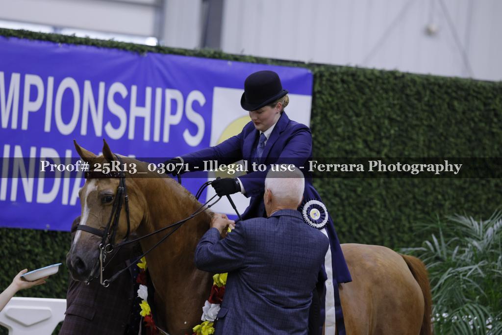 Proof 25R13_03071