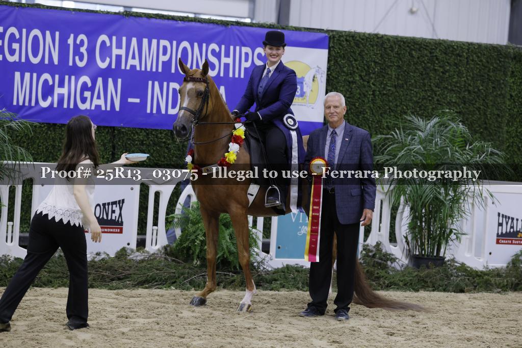 Proof 25R13_03075