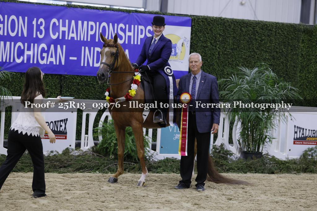 Proof 25R13_03076