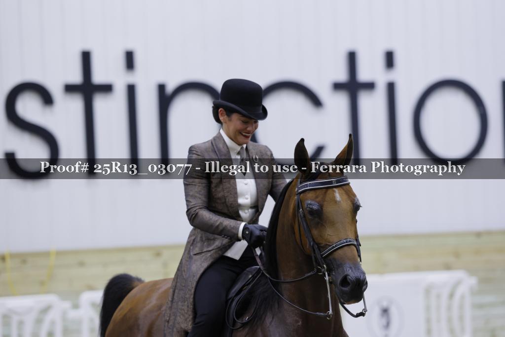 Proof 25R13_03077