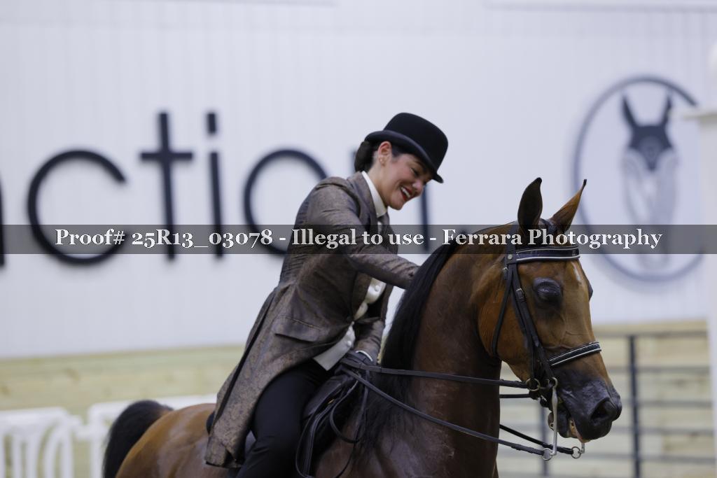 Proof 25R13_03078