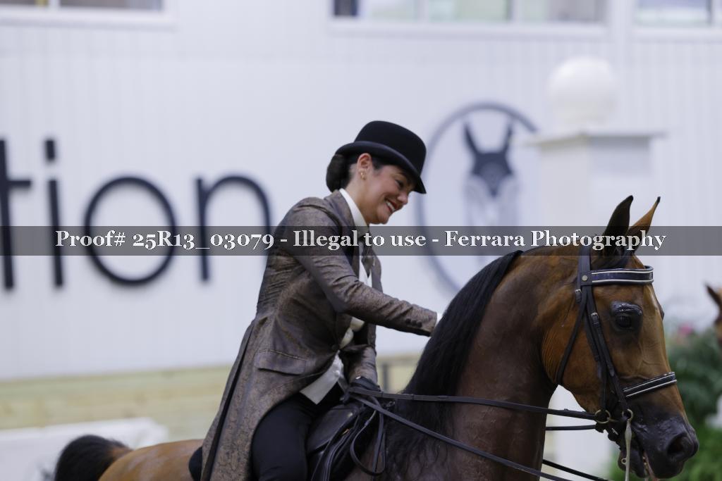 Proof 25R13_03079