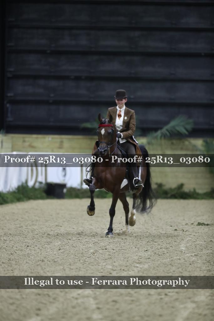 Proof 25R13_03080