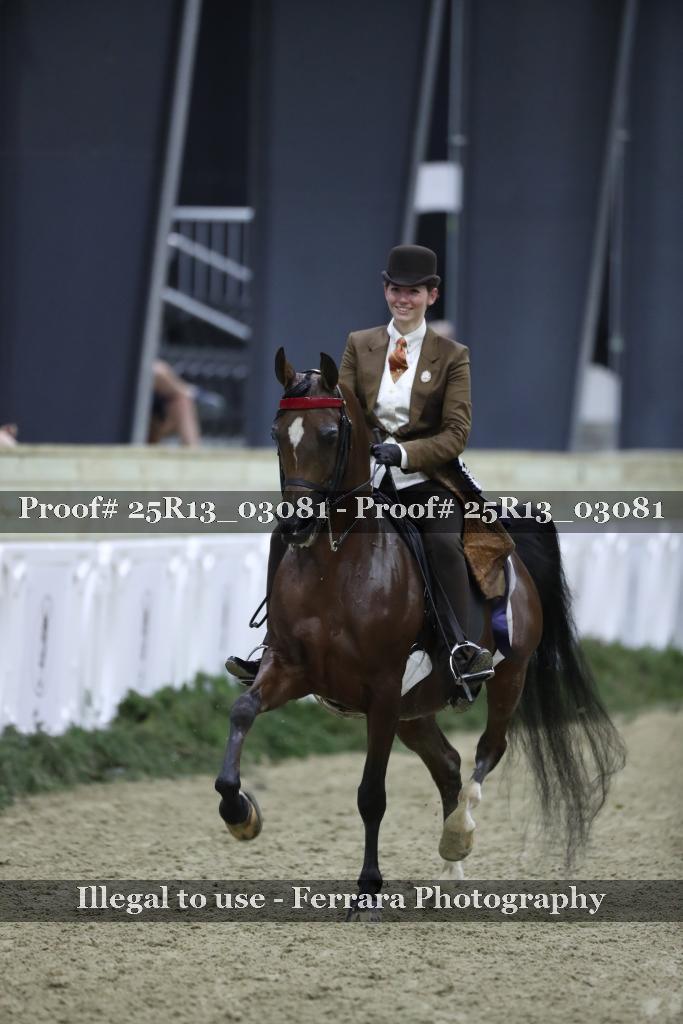 Proof 25R13_03081
