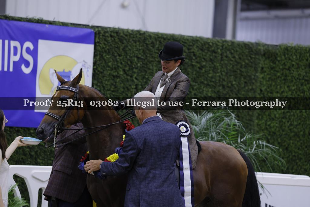 Proof 25R13_03082