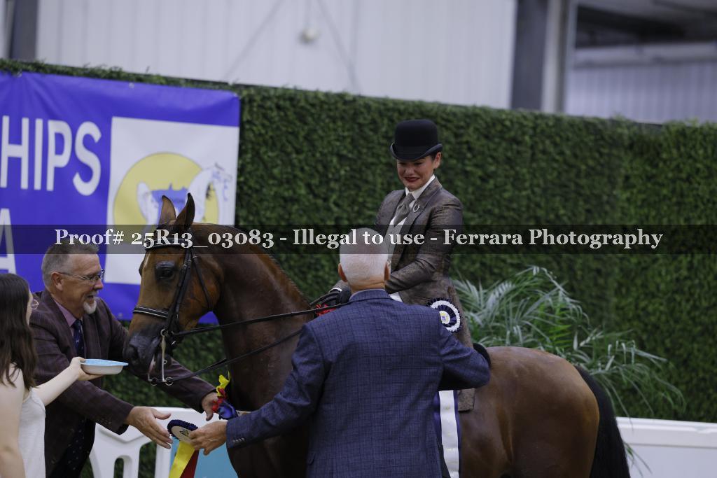 Proof 25R13_03083
