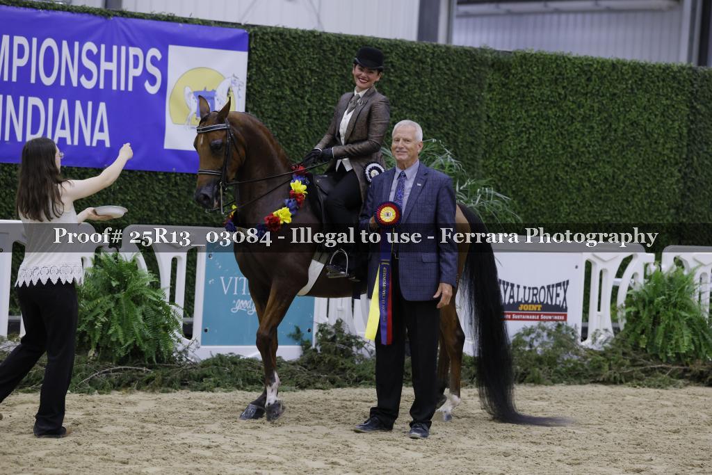 Proof 25R13_03084
