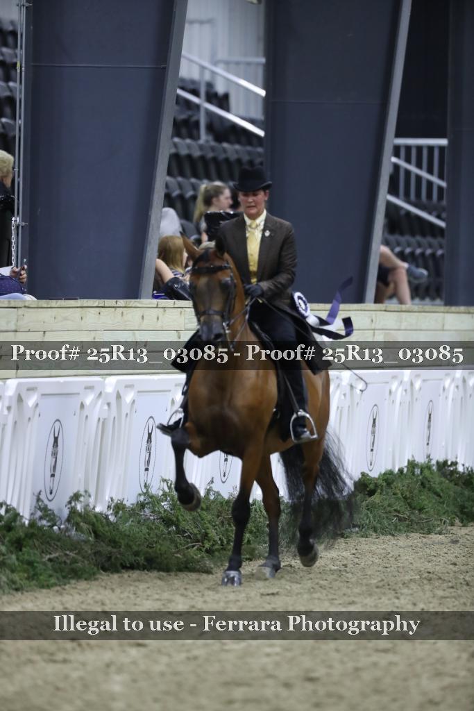 Proof 25R13_03085