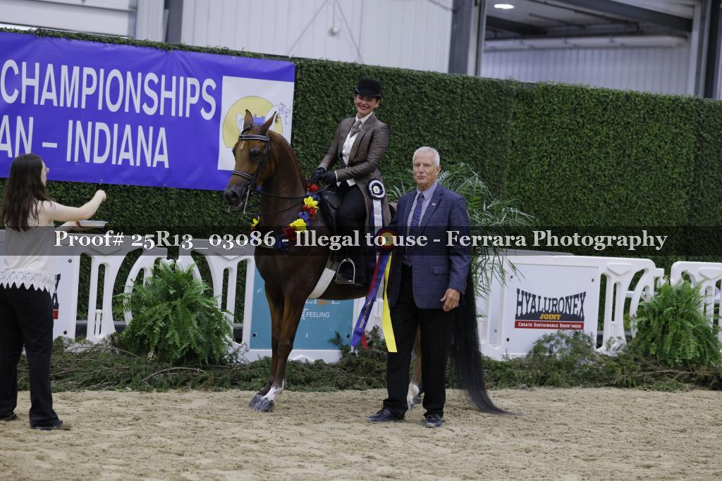 Proof 25R13_03086