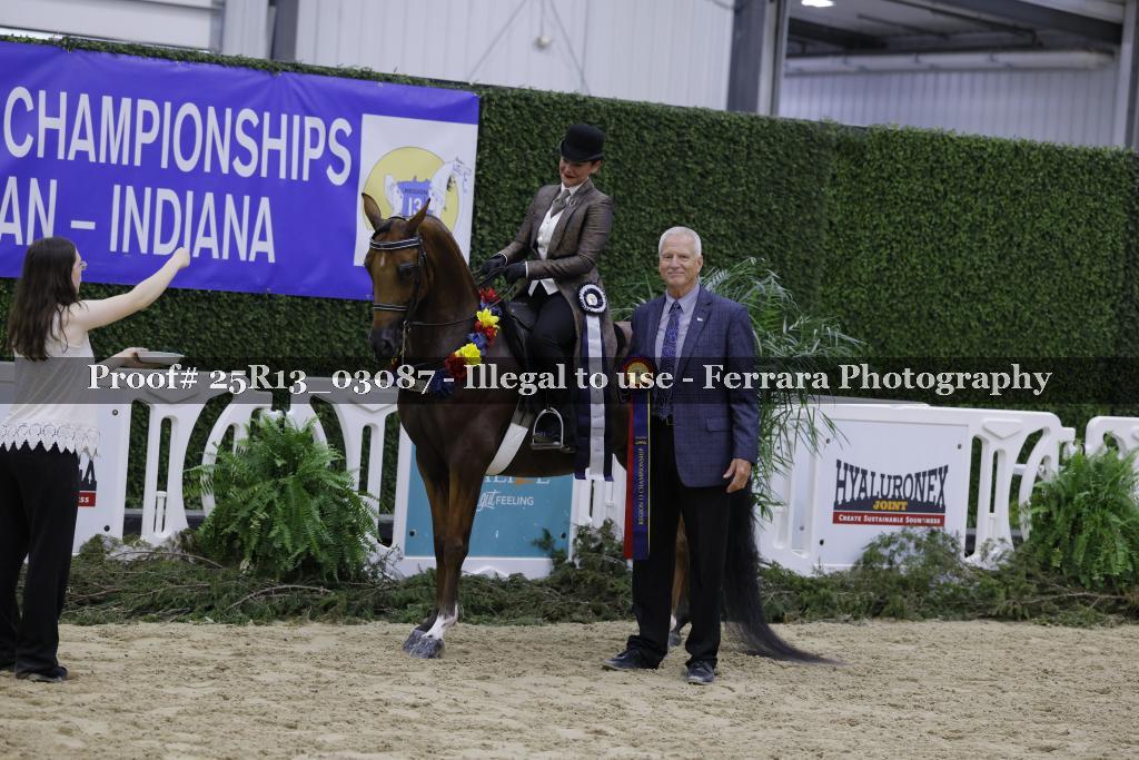 Proof 25R13_03087