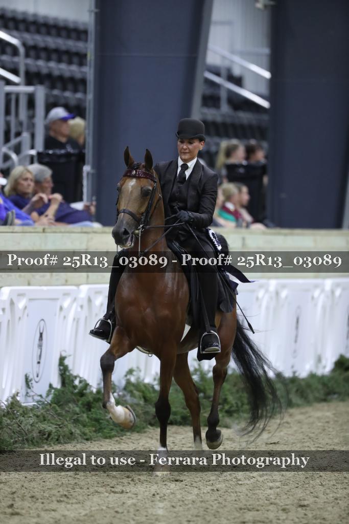 Proof 25R13_03089