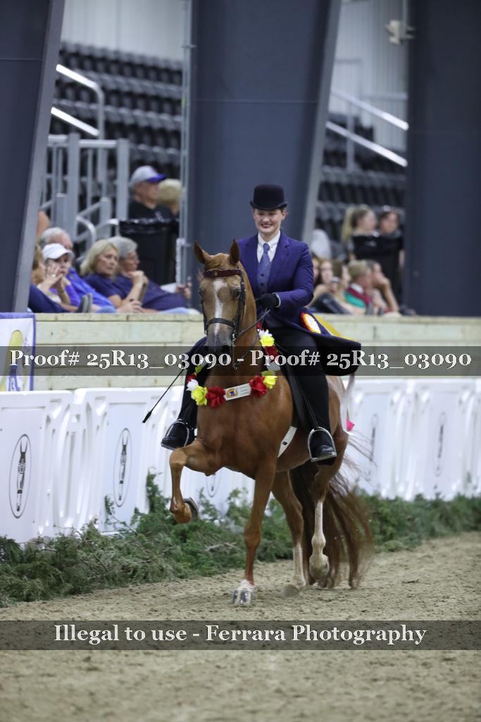 Proof 25R13_03090