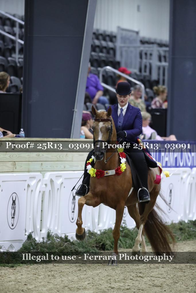 Proof 25R13_03091