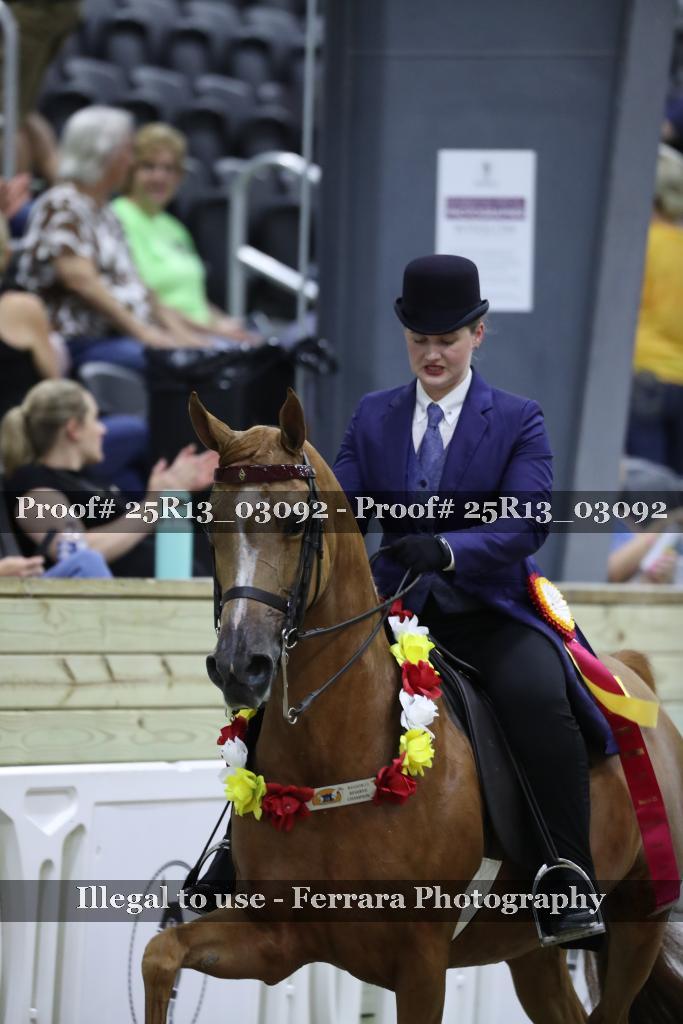 Proof 25R13_03092