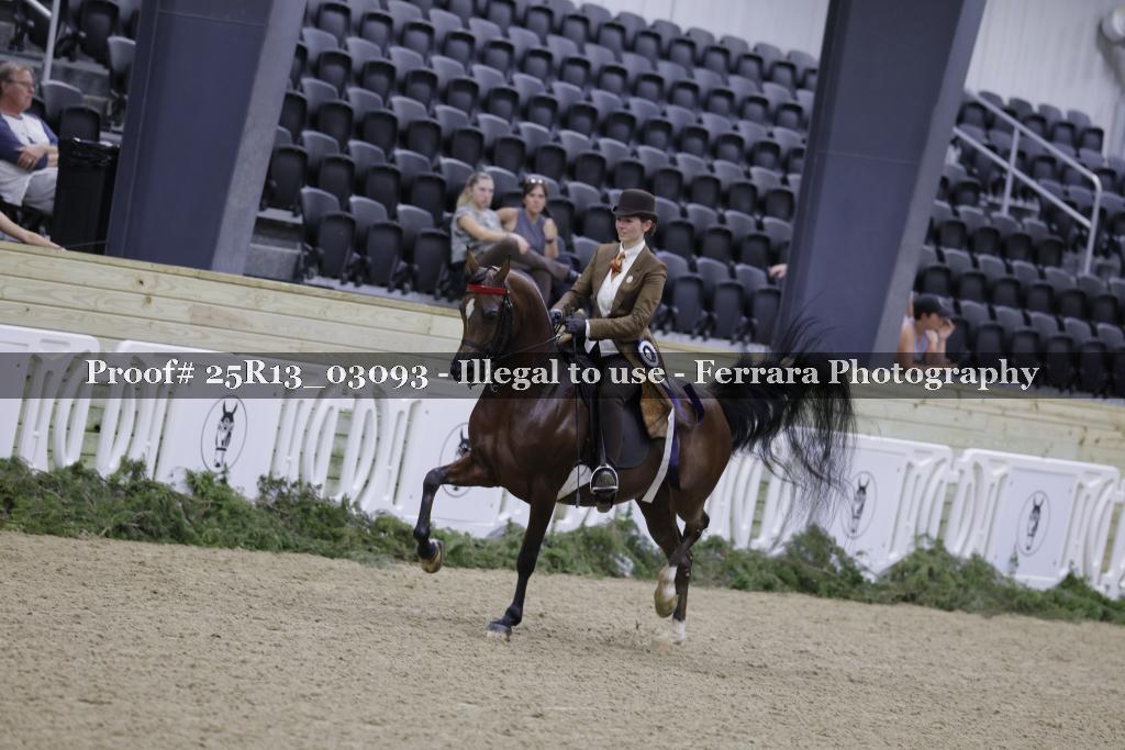 Proof 25R13_03093
