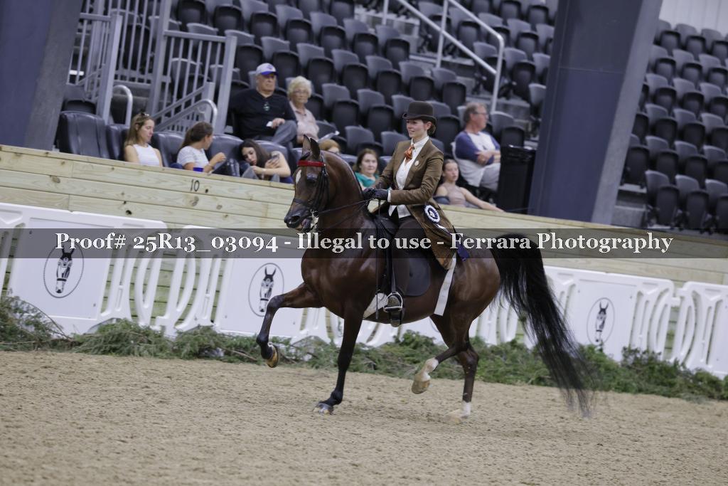 Proof 25R13_03094