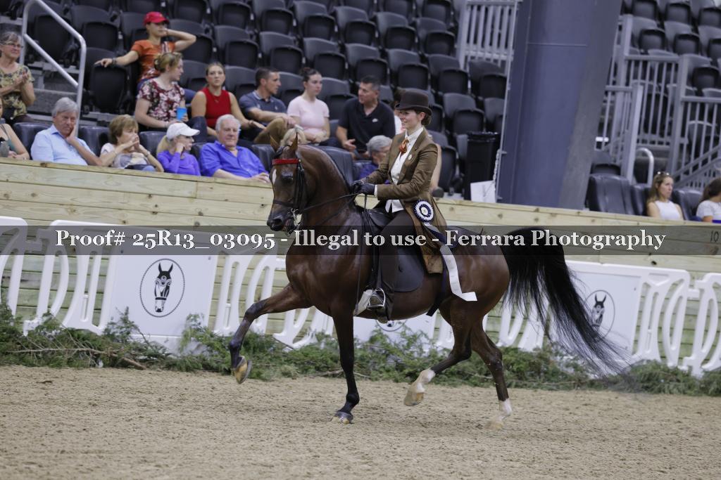Proof 25R13_03095