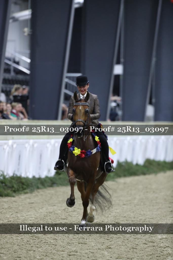 Proof 25R13_03097