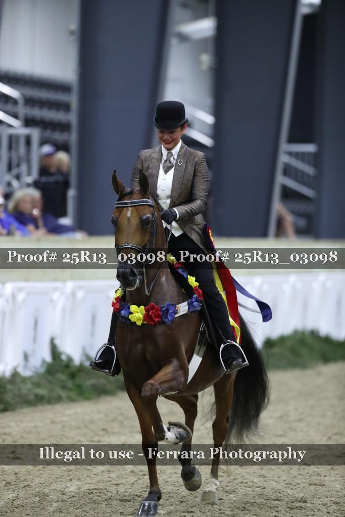 Proof 25R13_03098