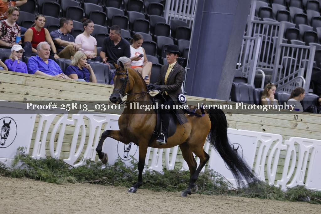 Proof 25R13_03101