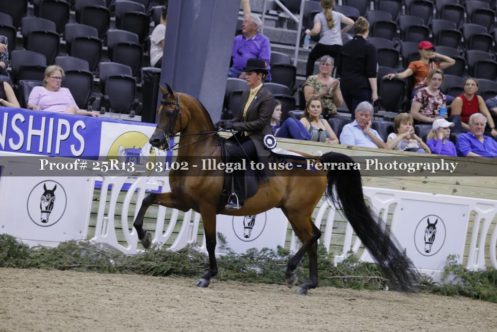 Proof 25R13_03102