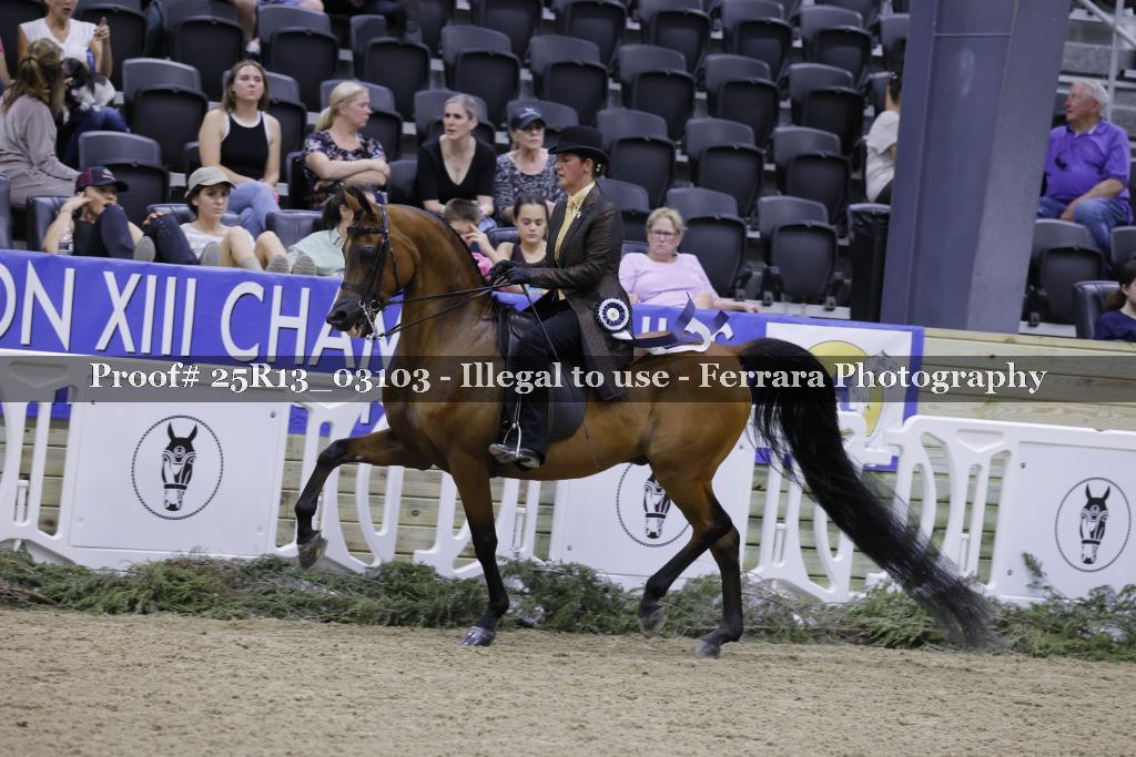 Proof 25R13_03103