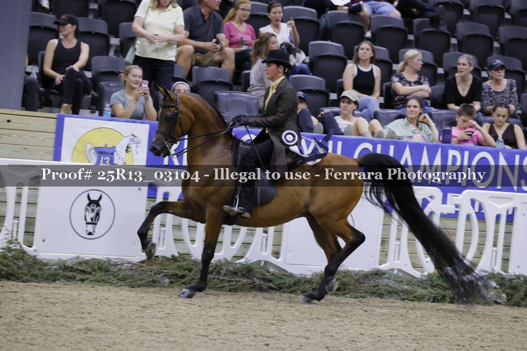 Proof 25R13_03104
