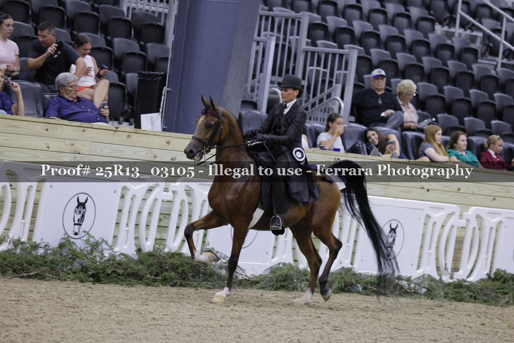 Proof 25R13_03105