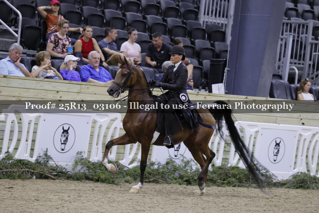 Proof 25R13_03106