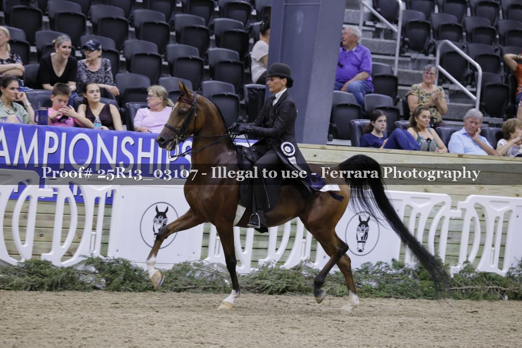 Proof 25R13_03107