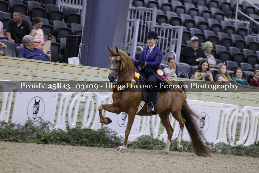 Proof 25R13_03109