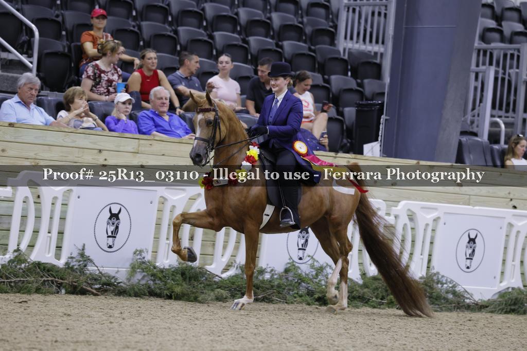 Proof 25R13_03110