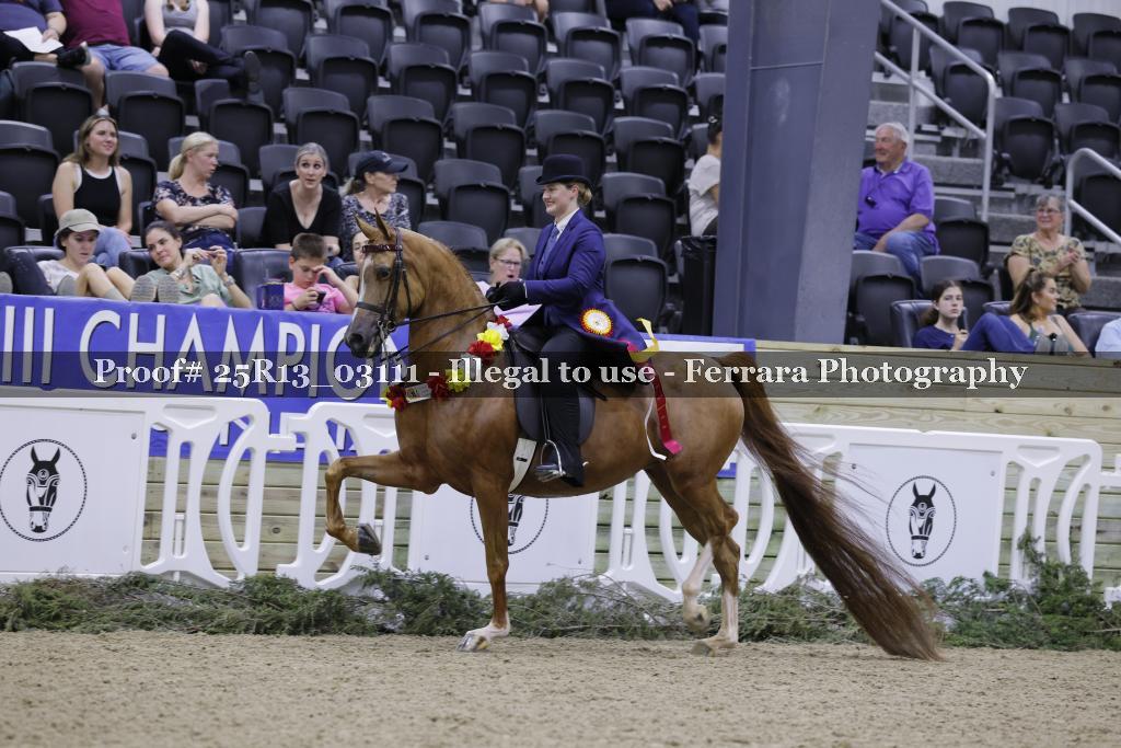 Proof 25R13_03111