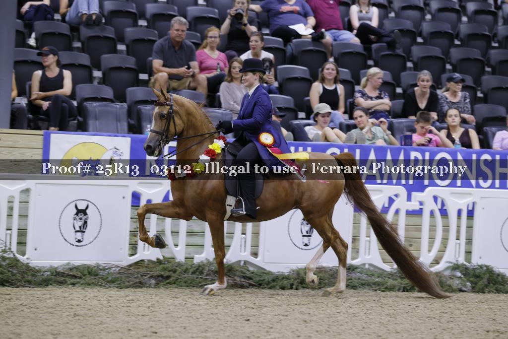 Proof 25R13_03112