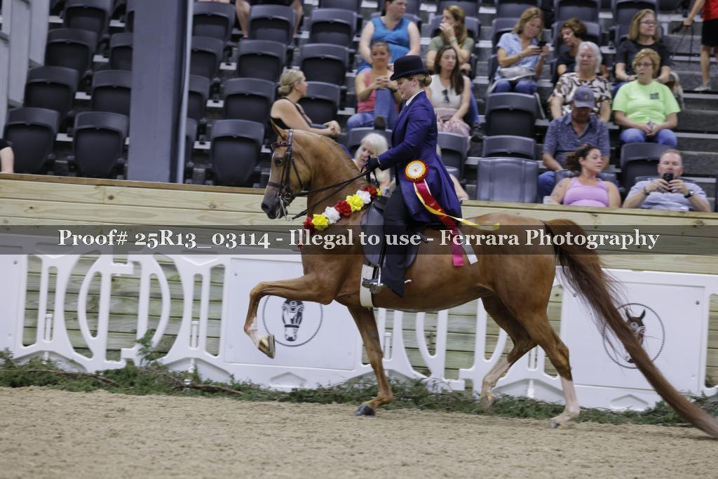 Proof 25R13_03114