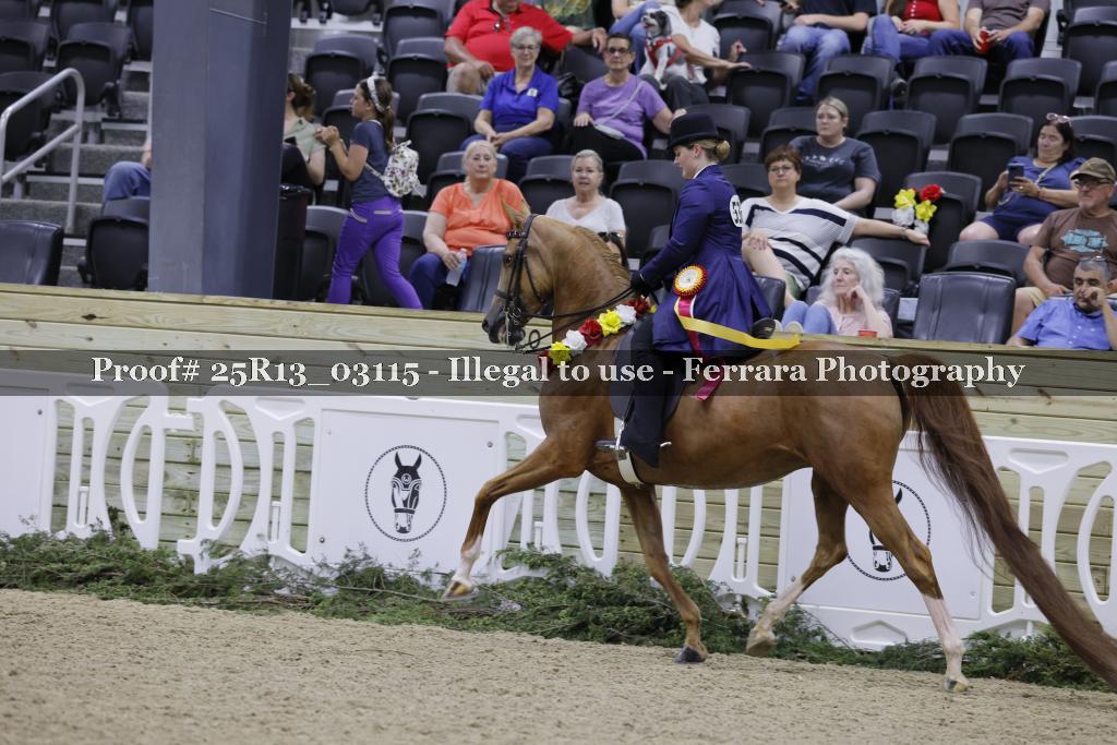 Proof 25R13_03115