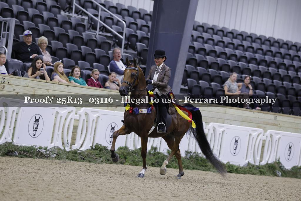 Proof 25R13_03116