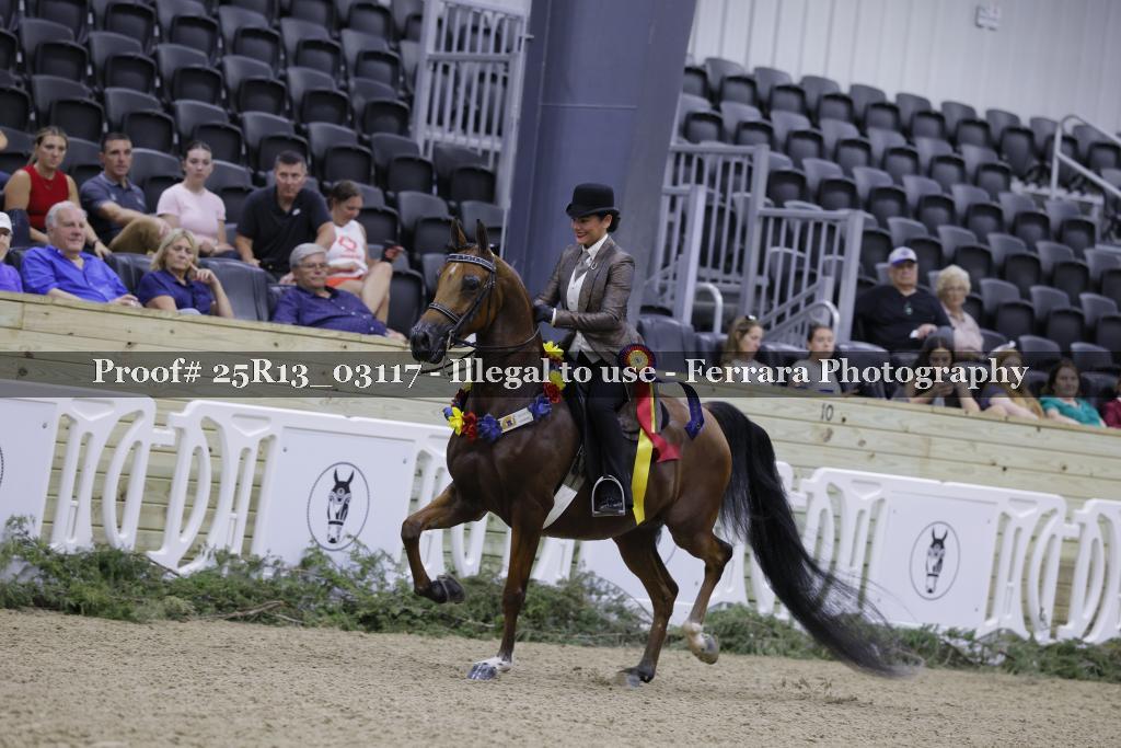 Proof 25R13_03117