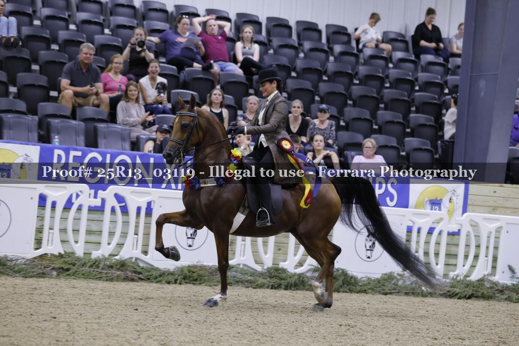 Proof 25R13_03119