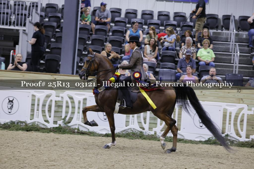 Proof 25R13_03121