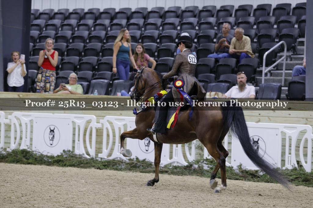 Proof 25R13_03123