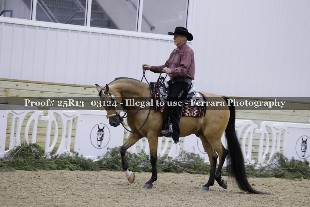 Proof 25R13_03124