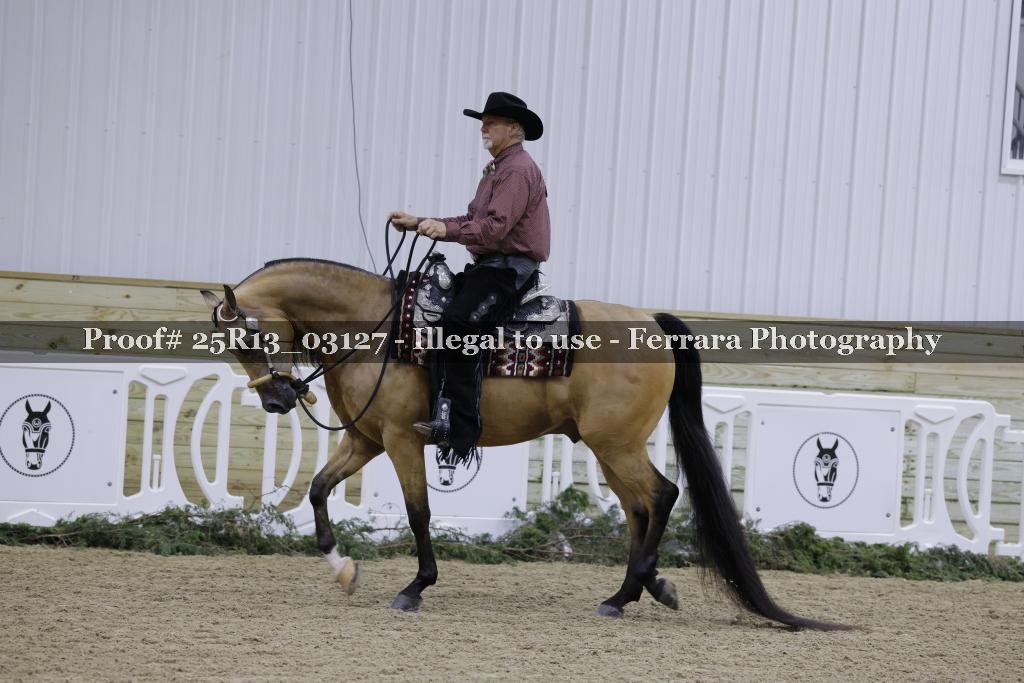 Proof 25R13_03127